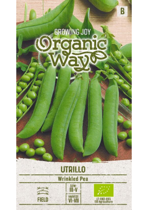 Borsó Utrillo SL OW