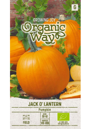 Sütőtök Jack O'Lantern SL OW