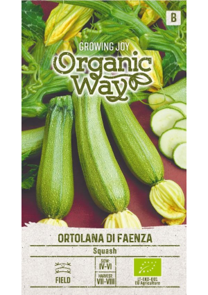 Tök Ortolana Di Faenza SL OW