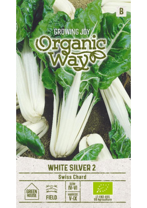 Mángold White Silver 2 SL OW