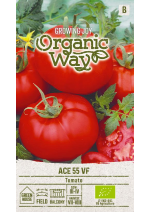 Paradicsom ACE 55 SL OW