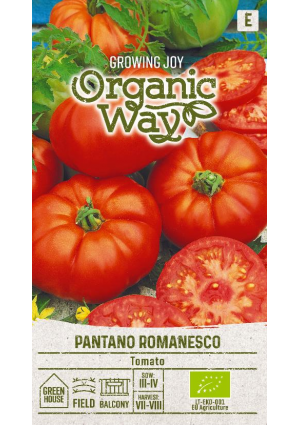 Paradicsom Pantano Romanesco SL OW