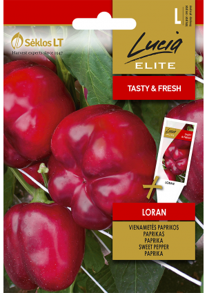 Paprika Loran Hibrid SL ELN