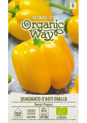 Paprika Quadrato D'asti Giallo SL OW