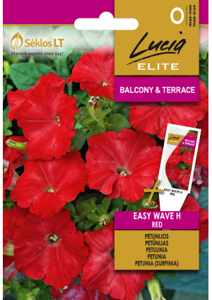 Petunia Hibrid  Easy Wave Red SL ELN