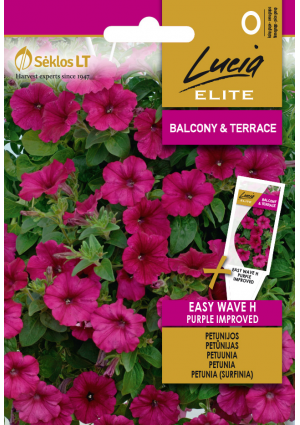 Petunia Hibrid Easy Wave Purple improved SL ELN