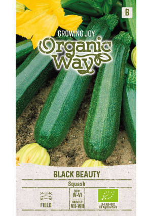 Cukkini Black Beauty SL OW