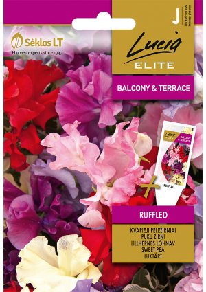 Borsóvirág Ruffled SL ELN