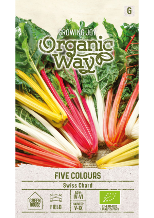 Mángold Five Colours SL OW