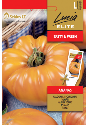 Paradicsom Ananas SL ELN