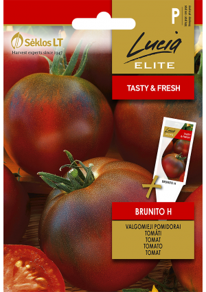 Paradicsom Brunito Hibrid SL ELN