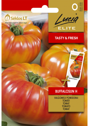 Paradicsom Buffalosun Hibrid SL ELN