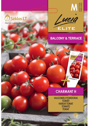 Paradicsom Charmant Hibrid SL ELN
