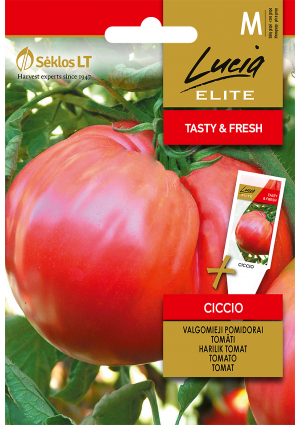 Paradicsom Ciccio  SL ELN