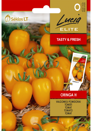 Paradicsom Oringa Hibrid SL ELN