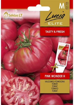 Paradicsom Pink Wonder Hibrid SL ELN