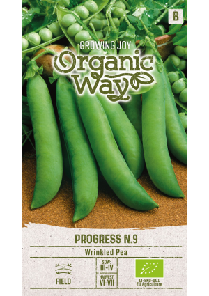 Borsó Progress N.9 SL OW