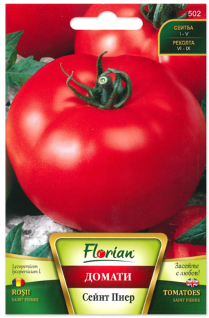Paradicsom Saint Pierre Florian Bg