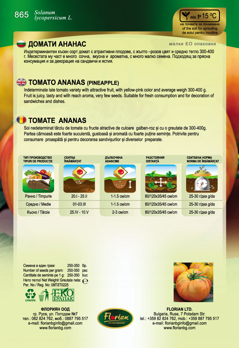 Paradicsom Ananas Florian Bg - Image 2