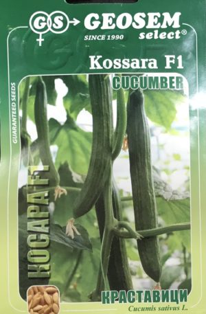 Uborka Kossara F1 Geosem