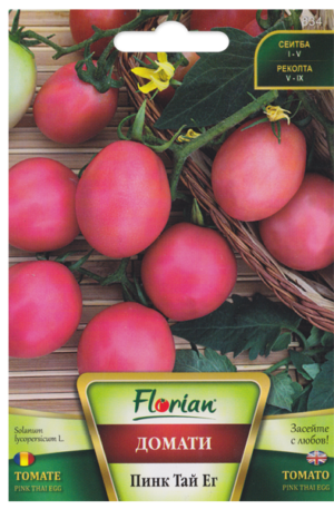 Paradicsom Pink Thai Egg Florian Bg