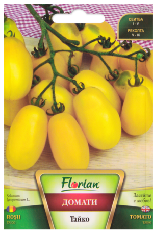 Paradicsom Taiko Florian Bg