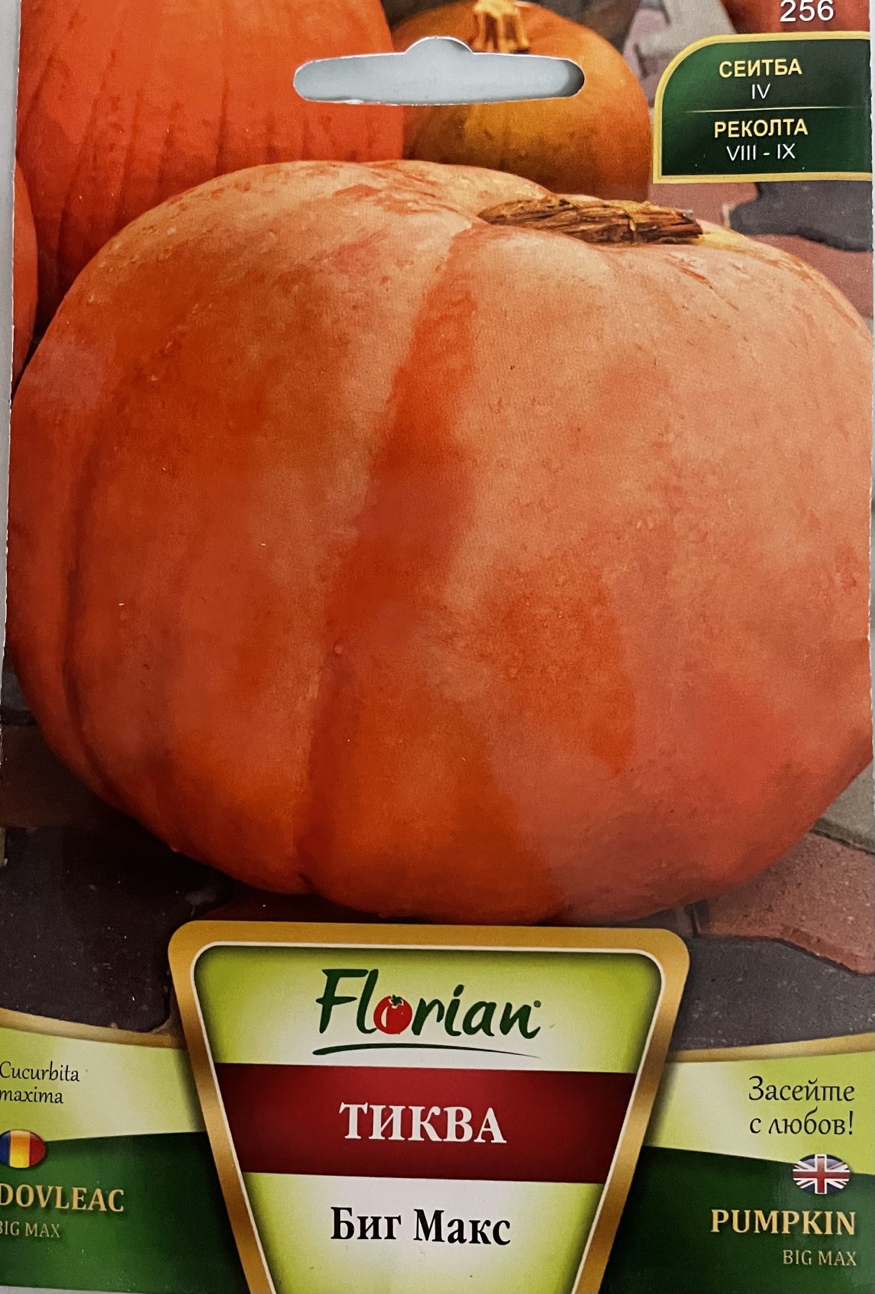 Sütőtök Big Max Florian Bg