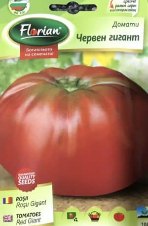 Paradicsom Red Giant  Florian Bg