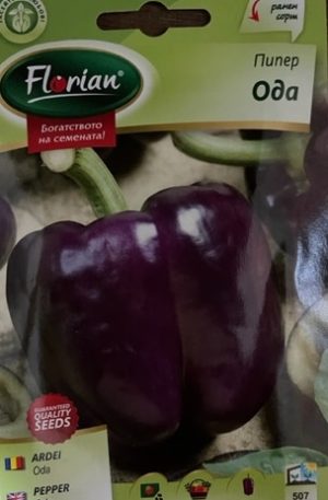 Paprika Oda Florian Bg