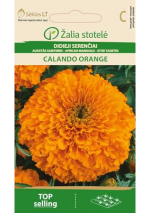 Büdöske  Calando Orange Z.S SL