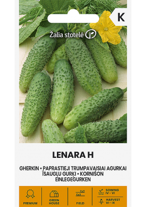 Uborka Lenara Hibrid Z.S SL