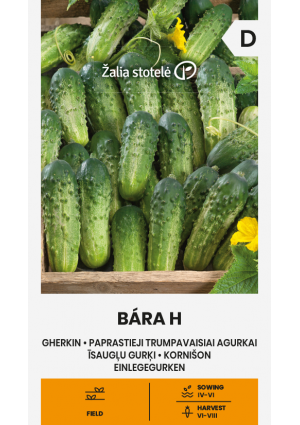 Uborka Bára Hibrid Z.S SL