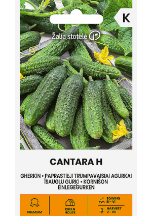 Uborka Cantara Hibrid Z.S SL