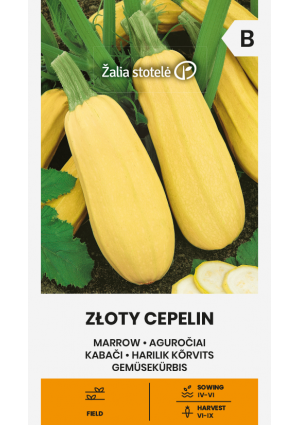 Tök ZŁOTY CEPELIN Z.S SL