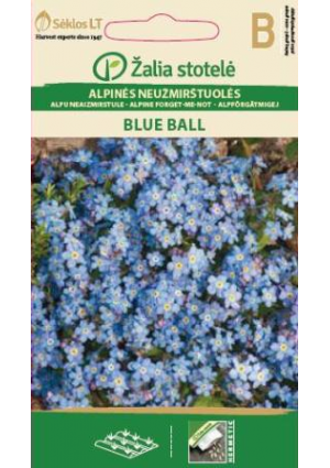 Havasi nefelejcs Blue Ball Z.S SL