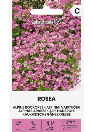 Kaukázusi ikravirág Rosea Z.S SL