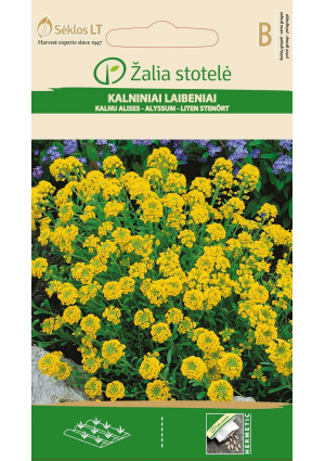 Hegyi ternye Kalniniai Laineniai Z.S SL