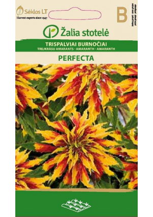 Kínai amaránt Perfecta Z.S SL