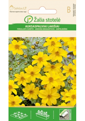 Balkon aranya Auksaspalvian Lakisiai Z.S SL