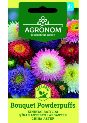 Őszirózsa Bouquet Powderpufft SL AGR