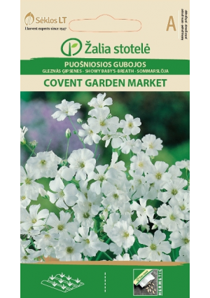 Egynyári fátyolvirág  ( Covent Garden Market) Z.S SL