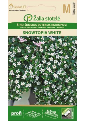 Bakopa Snowtopia White (Hópehelyvirág) Z.S SL