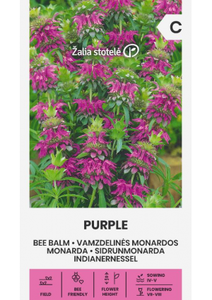 Méhbalzsam Purple Z.S SL