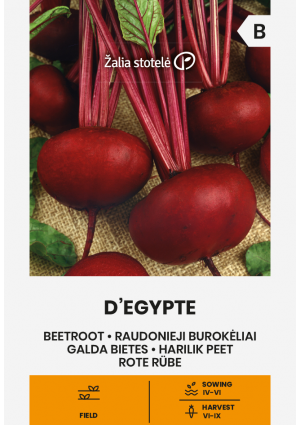 Cékla D'Egypte Z.S SL