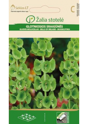 Kagylóvirág Z.S SL