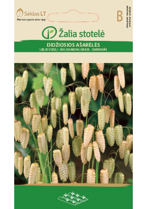 Rezgőfű Quaking Grass Z.S SL