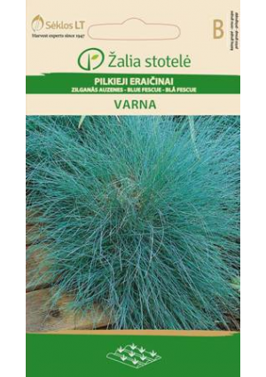 Juh csenkesz Varna Z.S SL