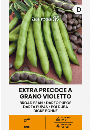 Bab Extra Precoce A Grano Violetto ( Lóbab) Z.S SL