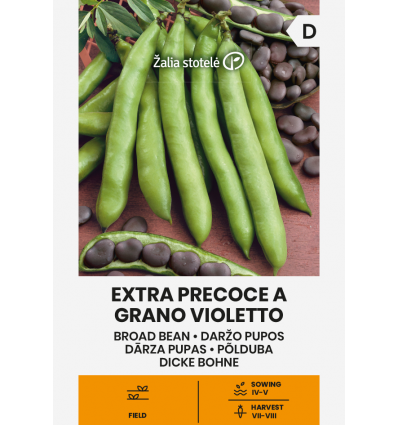 Bab Extra Precoce A Grano Violetto ( Lóbab) Z.S SL