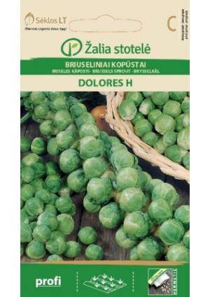 Kelbimbó Dolores Hibrid  Z.S SL